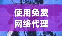 使用免费网络代理工具如Dialimate、Netmask、Free-Agent和NetMask时，需注意以下要点