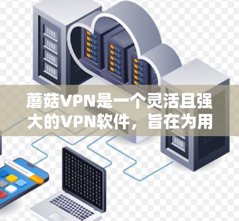 蘑菇VPN是一个灵活且强大的VPN软件，旨在为用户提供高效、安全的网络连接。以下是一个详细的安装教程，适用于不同的浏览器和设备