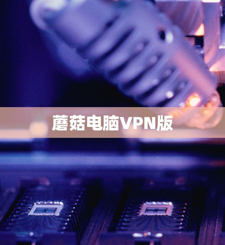 蘑菇电脑VPN版 蘑菇电脑VPN版