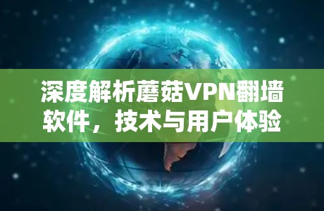 深度解析蘑菇VPN翻墙软件,技术与用户体验的平衡 深度解析蘑菇VPN翻墙软件,技术与用户体验的平衡