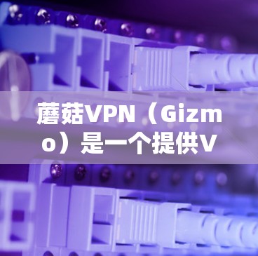 蘑菇VPN(Gizmo)是一个提供VPN服务的网络公司,主要采用加密技术来保护用户的网络访问。以下是对蘑菇VPN更新信息的总结 蘑菇VPN(Gizmo)是一个提供VPN服务的网络公司,主要采用加密技术来保护用户的网络访问。以下是对蘑菇VPN更新信息的总结