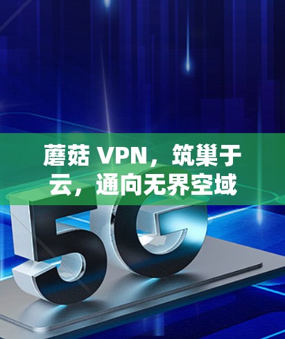 蘑菇 VPN,筑巢于云,通向无界空域 蘑菇 VPN,筑巢于云,通向无界空域