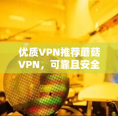 优质VPN推荐蘑菇VPN，可靠且安全的网络选择