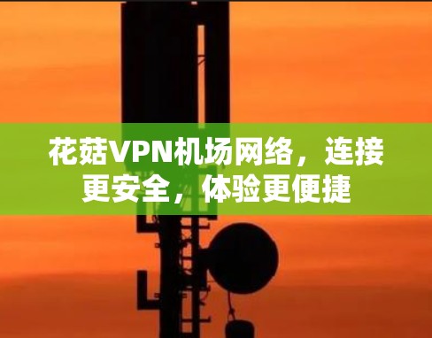 花菇VPN机场网络，连接更安全，体验更便捷