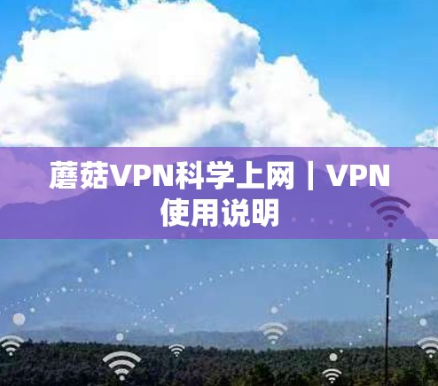 蘑菇VPN科学上网｜VPN使用说明