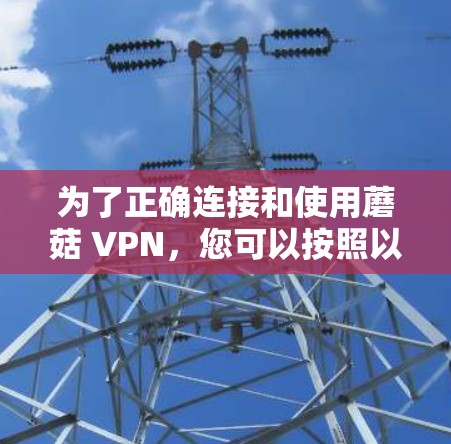 为了正确连接和使用蘑菇 VPN,您可以按照以下步骤进行操作 为了正确连接和使用蘑菇 VPN,您可以按照以下步骤进行操作