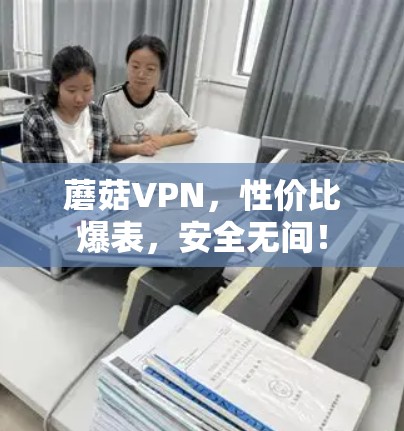 蘑菇VPN，性价比爆表，安全无间！