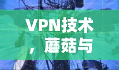 VPN技术,蘑菇与苹果,你的安全选择 VPN技术,蘑菇与苹果,你的安全选择