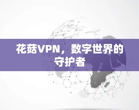花菇VPN,数字世界的守护者 花菇VPN,数字世界的守护者