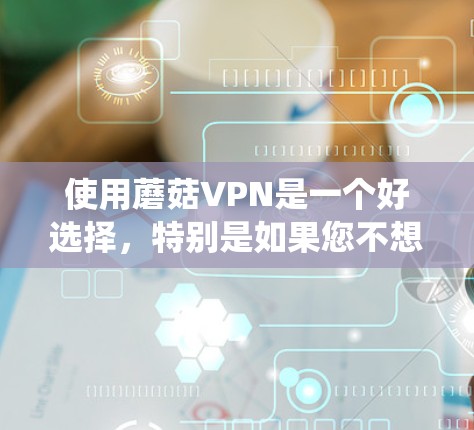 使用蘑菇VPN是一个好选择，特别是如果您不想在互联网上花费太多，或者希望更安全、便捷地进行VPN。以下是一个清晰的步骤指南，帮助您系统地使用蘑菇VPN