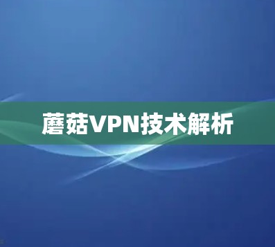 蘑菇VPN技术解析 蘑菇VPN技术解析