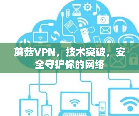 蘑菇VPN，技术突破，安全守护你的网络