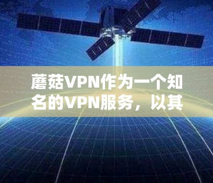 蘑菇VPN作为一个知名的VPN服务，以其可靠的速度和丰富的功能著称。以下是对蘑菇VPN速度体验的详细分析