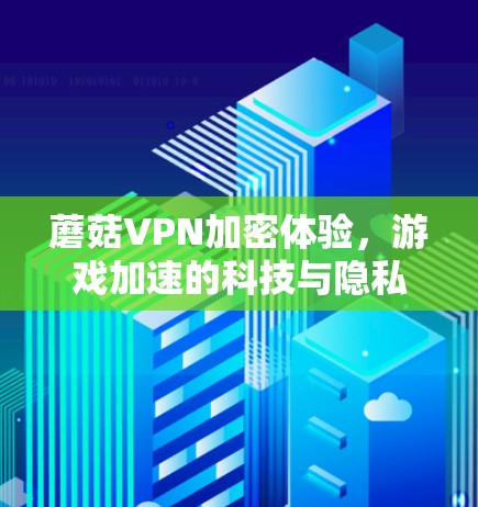 蘑菇VPN加密体验,游戏加速的科技与隐私双重保障 蘑菇VPN加密体验,游戏加速的科技与隐私双重保障