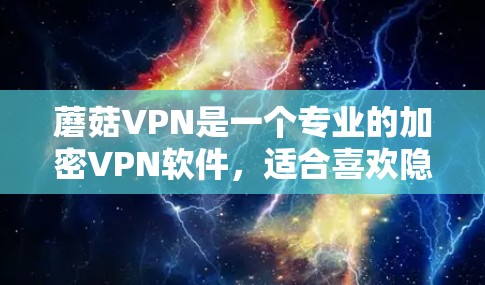 蘑菇VPN是一个专业的加密VPN软件,适合喜欢隐私保护和加密技术的用户。以下是使用蘑菇VPN的主要步骤和注意事项 蘑菇VPN是一个专业的加密VPN软件,适合喜欢隐私保护和加密技术的用户。以下是使用蘑菇VPN的主要步骤和注意事项