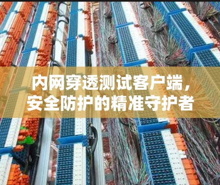 内网穿透测试客户端,安全防护的精准守护者 内网穿透测试客户端,安全防护的精准守护者