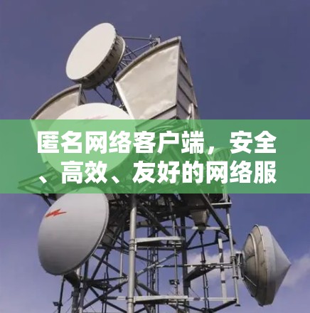 匿名网络客户端，安全、高效、友好的网络服务
