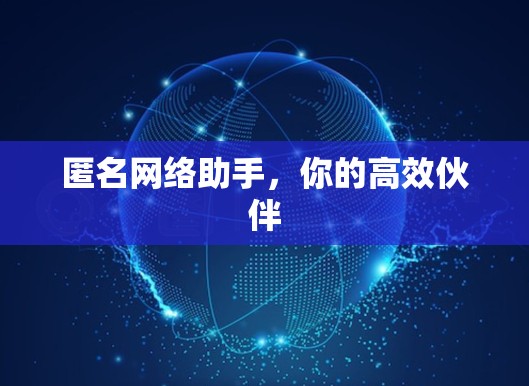 匿名网络助手，你的高效伙伴