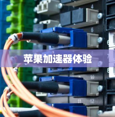 苹果加速器体验
