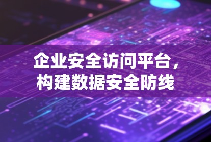 企业安全访问平台，构建数据安全防线