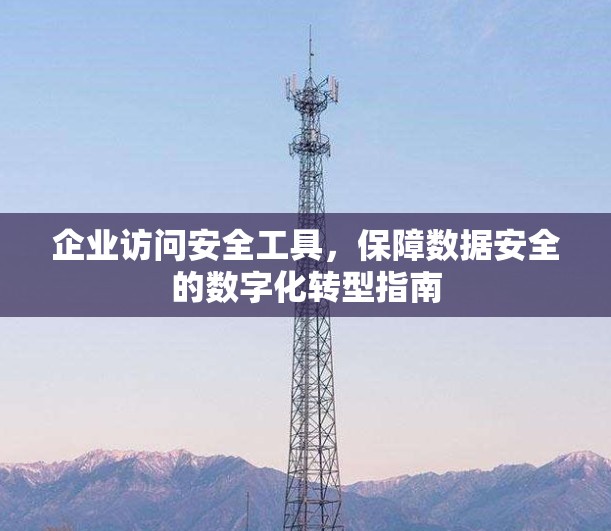企业访问安全工具，保障数据安全的数字化转型指南