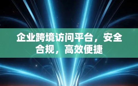 企业跨境访问平台，安全合规，高效便捷