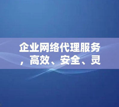 企业网络代理服务,高效、安全、灵活,让网络更可靠 企业网络代理服务,高效、安全、灵活,让网络更可靠