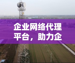 企业网络代理平台，助力企业数字化转型