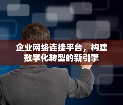 企业网络连接平台，构建数字化转型的新引擎