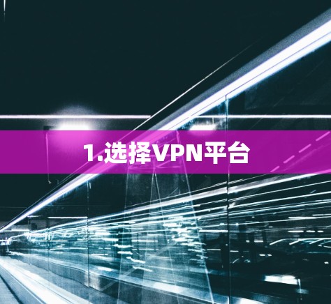 1.选择VPN平台 1.选择VPN平台