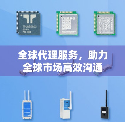 全球代理服务，助力全球市场高效沟通