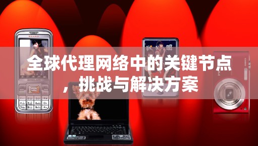 全球代理网络中的关键节点,挑战与解决方案 全球代理网络中的关键节点,挑战与解决方案