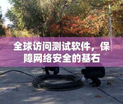全球访问测试软件，保障网络安全的基石