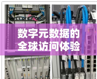 数字元数据的全球访问体验探索 数字元数据的全球访问体验探索