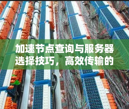 加速节点查询与服务器选择技巧,高效传输的关键 加速节点查询与服务器选择技巧,高效传输的关键