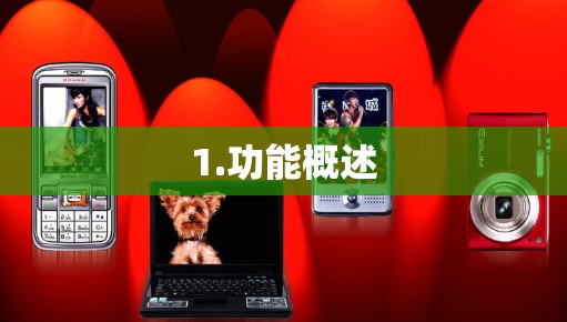 1.功能概述 1.功能概述