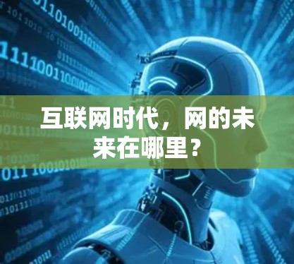 互联网时代,网的未来在哪里? 互联网时代,网的未来在哪里?