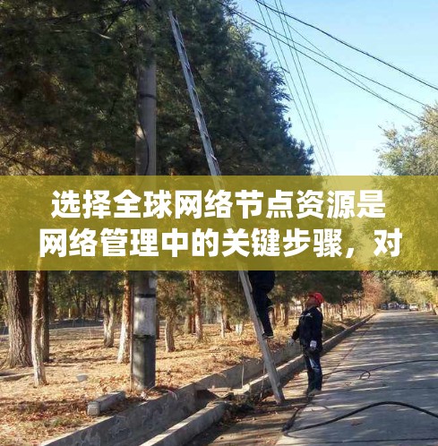 选择全球网络节点资源是网络管理中的关键步骤，对其性能和效果影响深远。以下是对这一问题的系统总结和分析