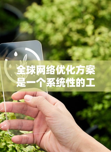 全球网络优化方案是一个系统性的工程，旨在提升网络性能、可靠性以及用户体验。以下是该方案的详细分步说明