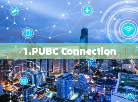 1.PUBC Connection 1.PUBC Connection