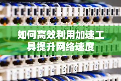 如何高效利用加速工具提升网络速度 如何高效利用加速工具提升网络速度