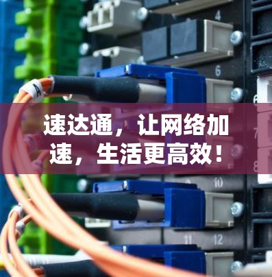 速达通,让网络加速,生活更高效! 速达通,让网络加速,生活更高效!