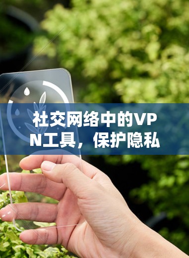 社交网络中的VPN工具,保护隐私的实用指南 社交网络中的VPN工具,保护隐私的实用指南