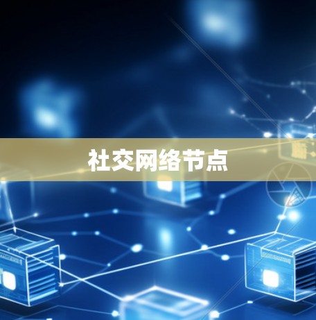 社交网络节点 社交网络节点
