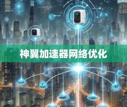 神翼加速器网络优化 神翼加速器网络优化