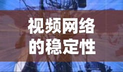 视频网络的稳定性对用户使用视频内容至关重要,以下是一步步的解决方案 视频网络的稳定性对用户使用视频内容至关重要,以下是一步步的解决方案