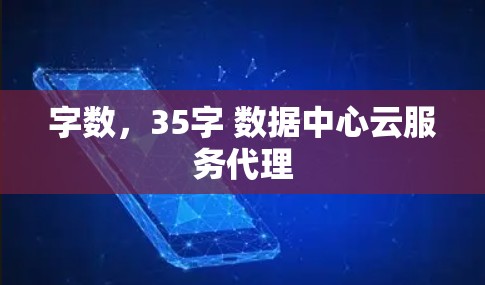字数,35字 数据中心云服务代理 字数,35字 数据中心云服务代理