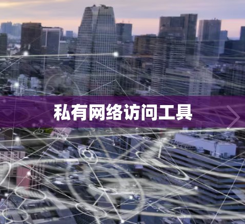 私有网络访问工具