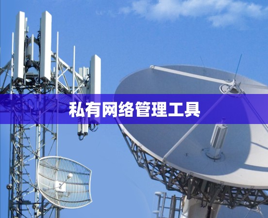 私有网络管理工具