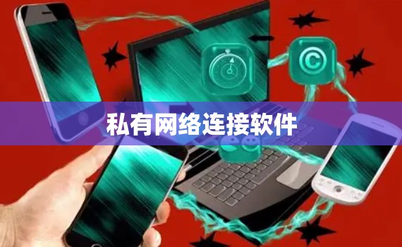 私有网络连接软件